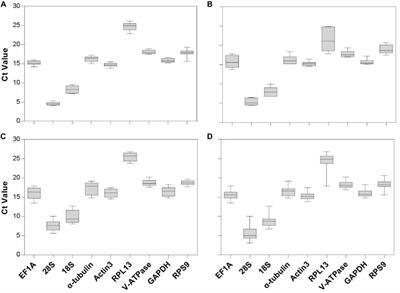 Selection of Reference Genes for RT-qPCR Analysis Under Intrinsic Conditions in the Hawthorn Spider Mite, Amphitetranychus viennensis (Acarina: Tetranychidae)